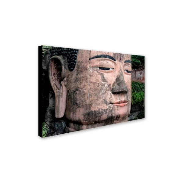 Philippe Hugonnard 'Giant Buddha X' Canvas Art,16x24